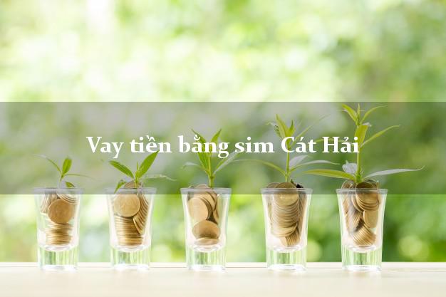 Vay tiền bằng sim Cát Hải Hải Phòng Vay tiền bằng sim Cát Hải Hải Phòng