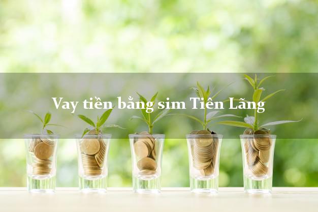 Vay tiền bằng sim Tiên Lãng Hải Phòng
